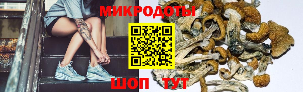 Екатеринбург  Галлюциногенные грибы Magic Shrooms  Вход с VPN 