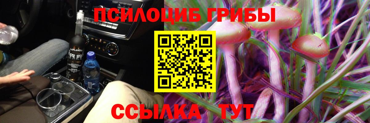 Галлюциногенные грибы Magic Shrooms Екатеринбург
